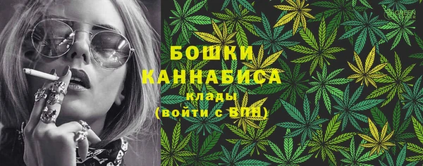 стаф Белокуриха
