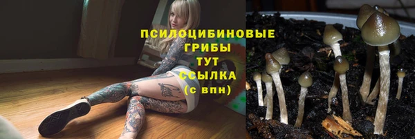 крисы Богданович