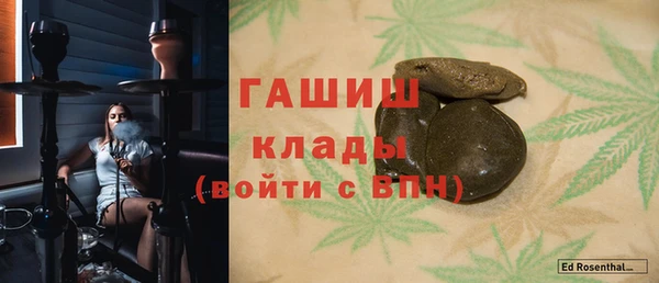 гидра Богородск