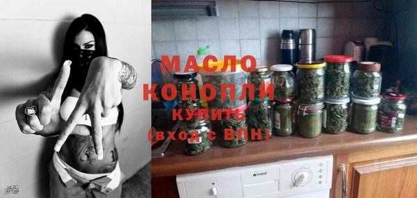 гидра Богородск
