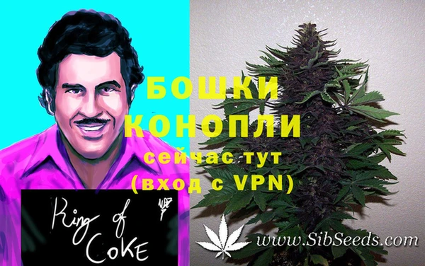 гидра Богородск