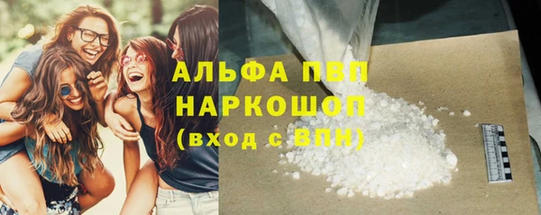 гидра Богородск