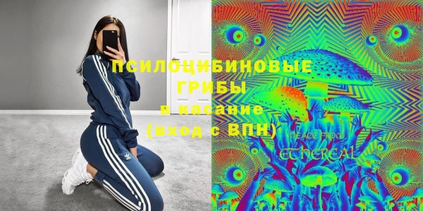 метадон Богородицк