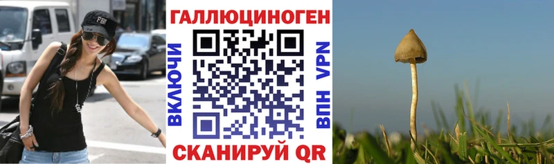 Псилоцибиновые грибы MAGIC MUSHROOMS  сайты даркнета официальный сайт  Вилючинск 